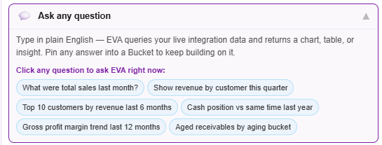 EVA View - Ask any question about your business finances in plain English